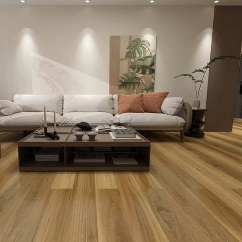Wild Eucalyptus 3002 interior application 1