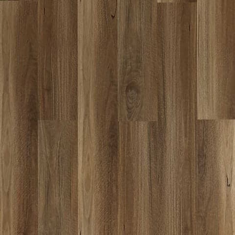 Highland Spotted Gum EV5002 flooring colour sample