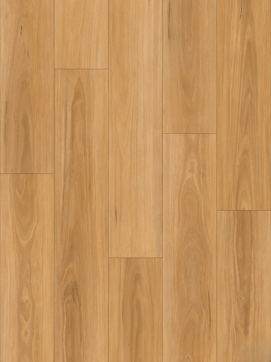 Blackbutt 1010