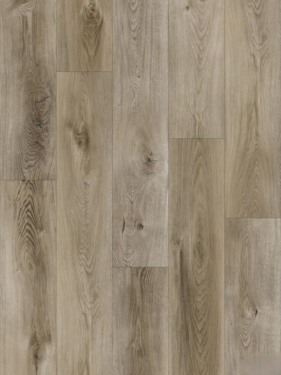 Coastal Oak 1009
