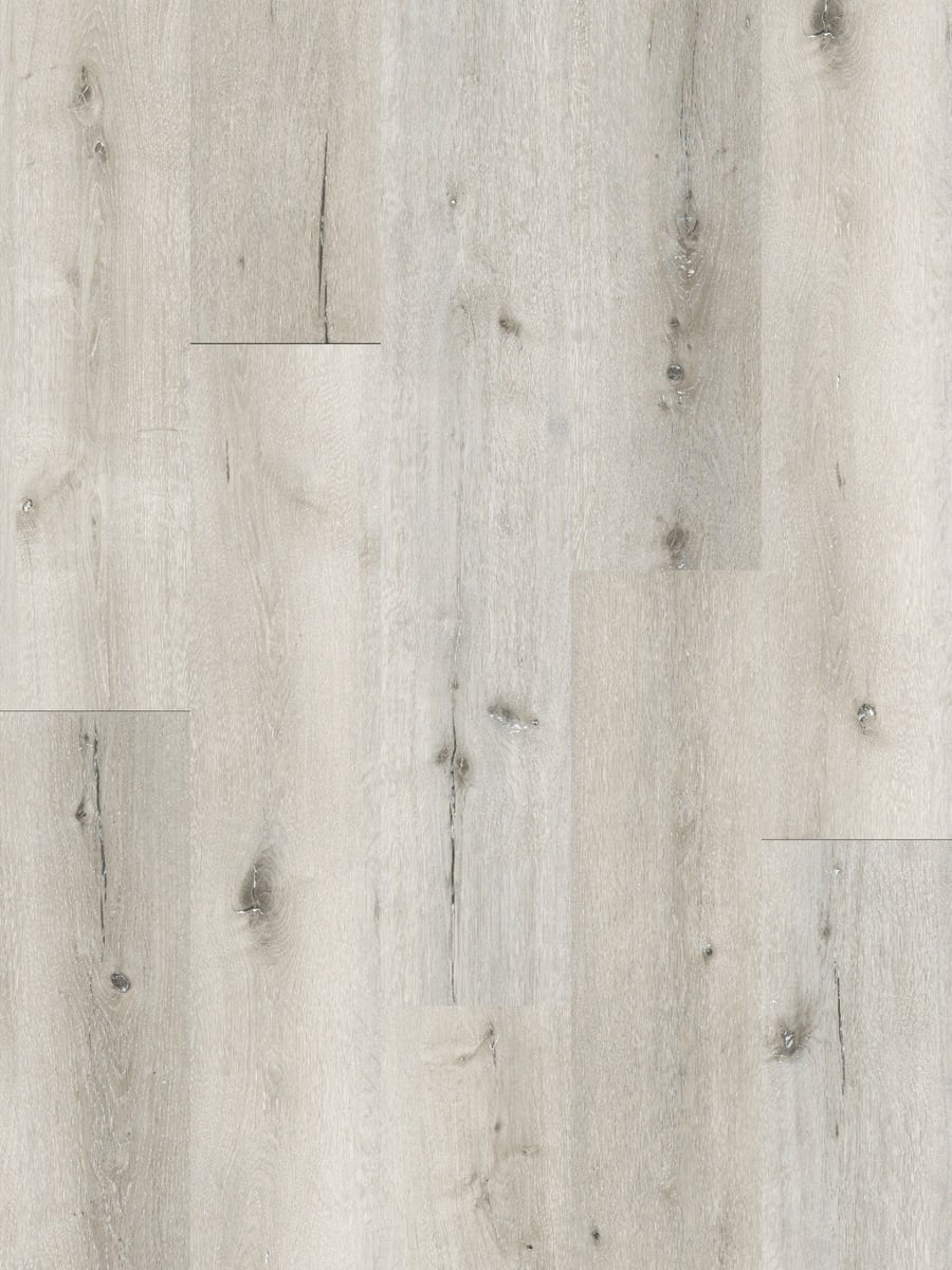 Light Grey Oak 1004