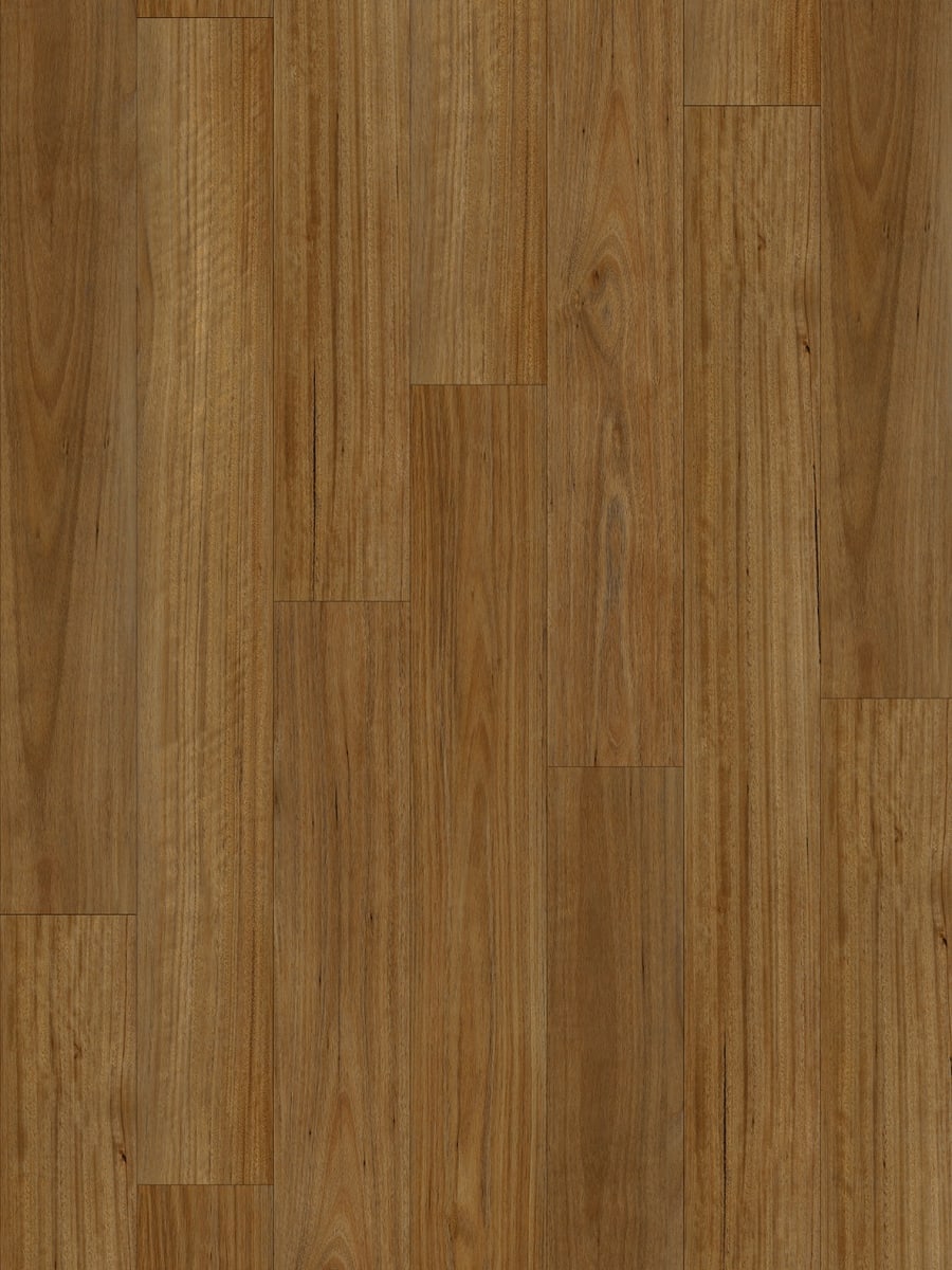 Spotted Gum 1008