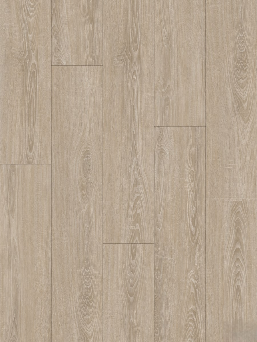 Sand Oak 3004