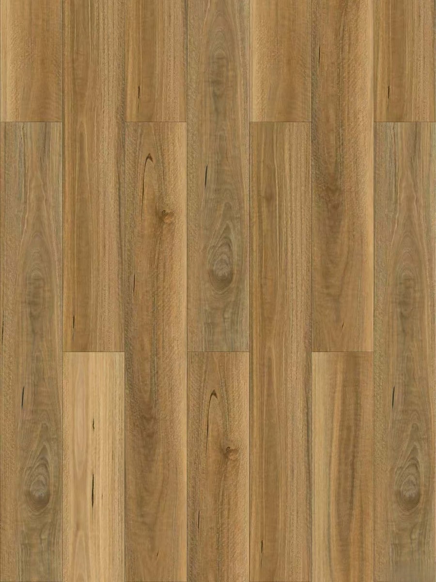 Wild Eucalyptus 3002