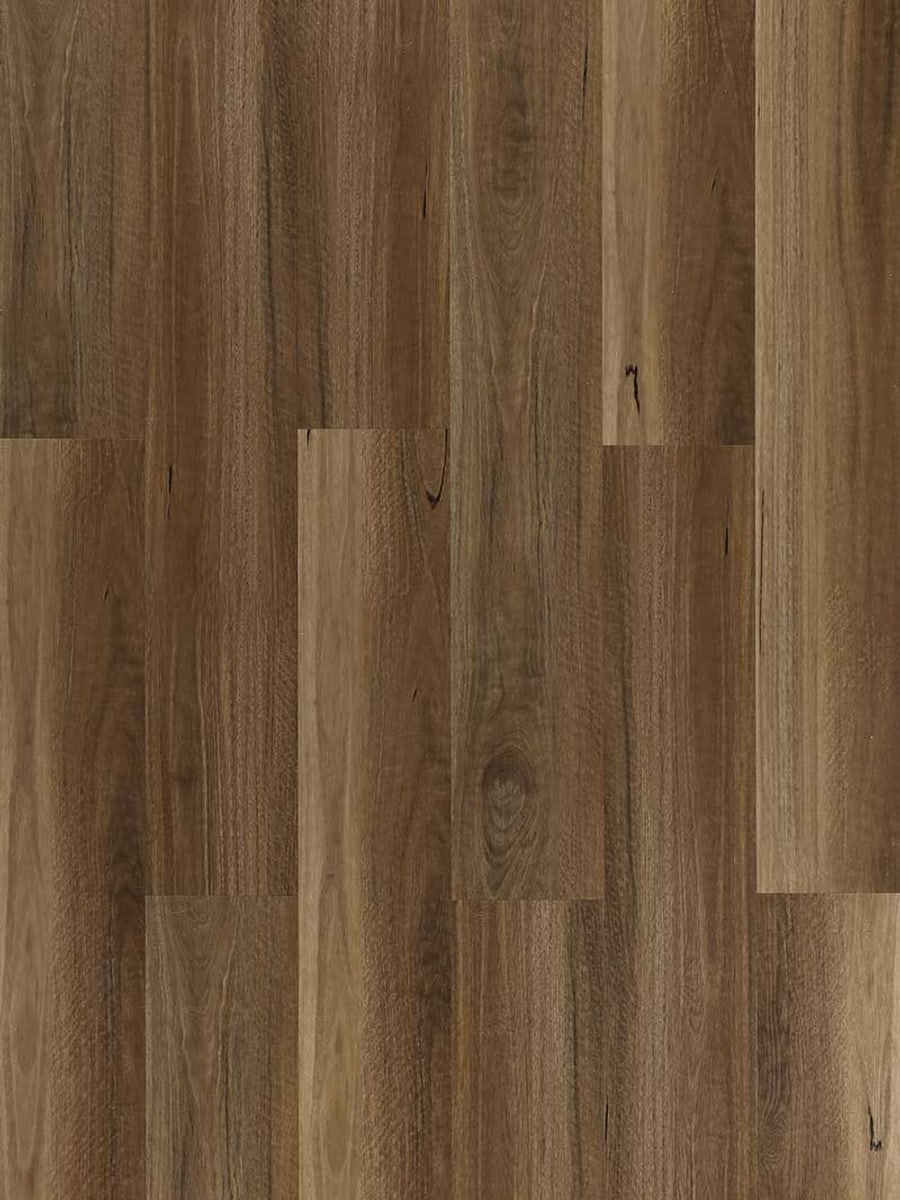 Highland Spotted Gum EV5002