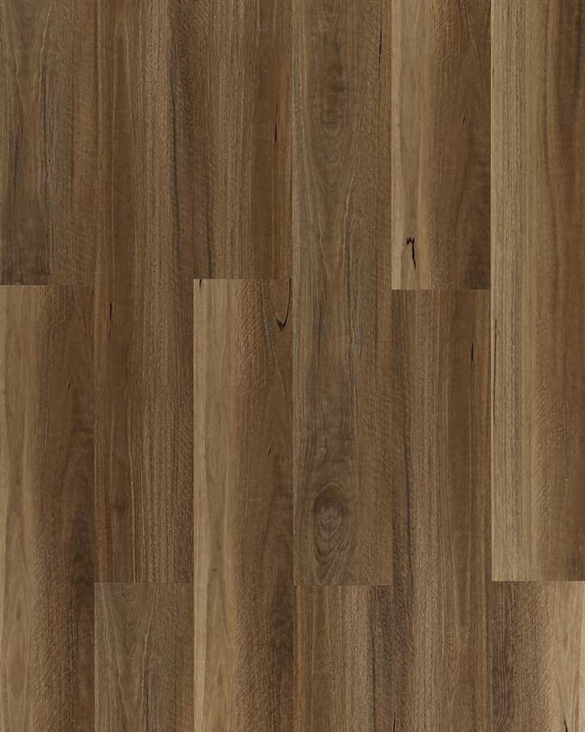 Highland Spotted Gum EV5002 flooring colour sample