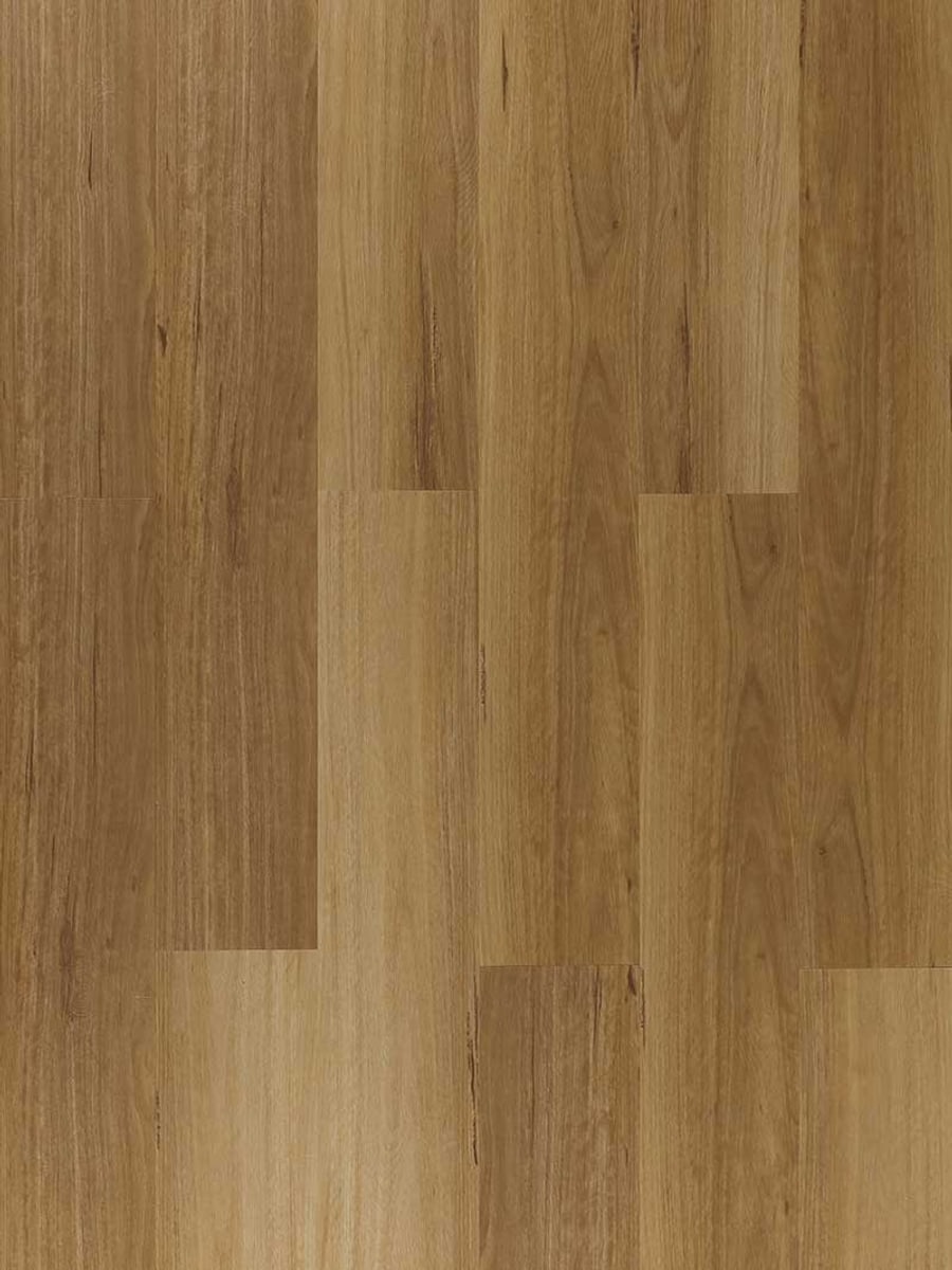 Native Gold Blackbutt EV5008