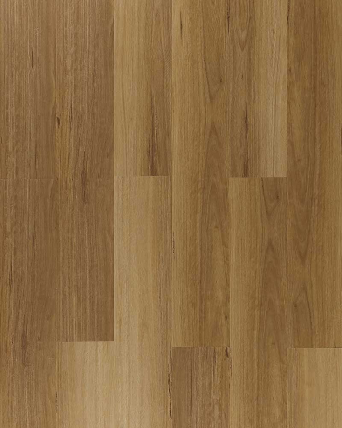 Native Gold Blackbutt EV5008 flooring colour sample