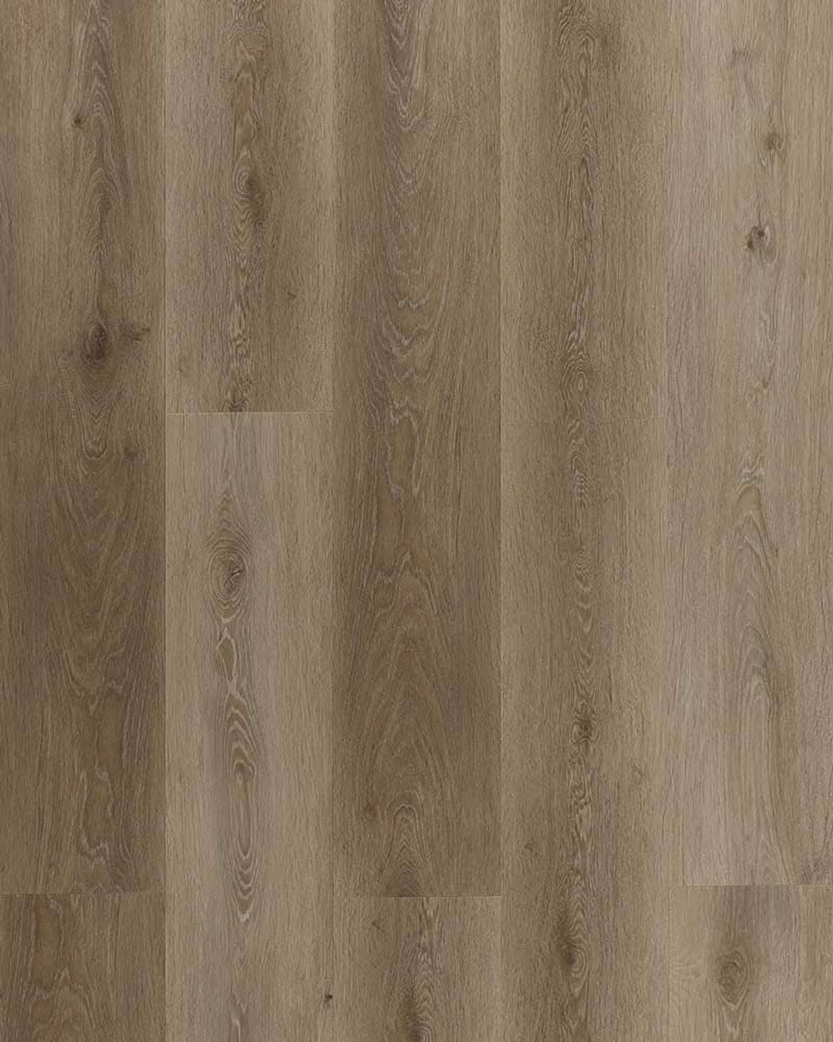 Sorrento Coastal Oak EV5007 flooring colour sample