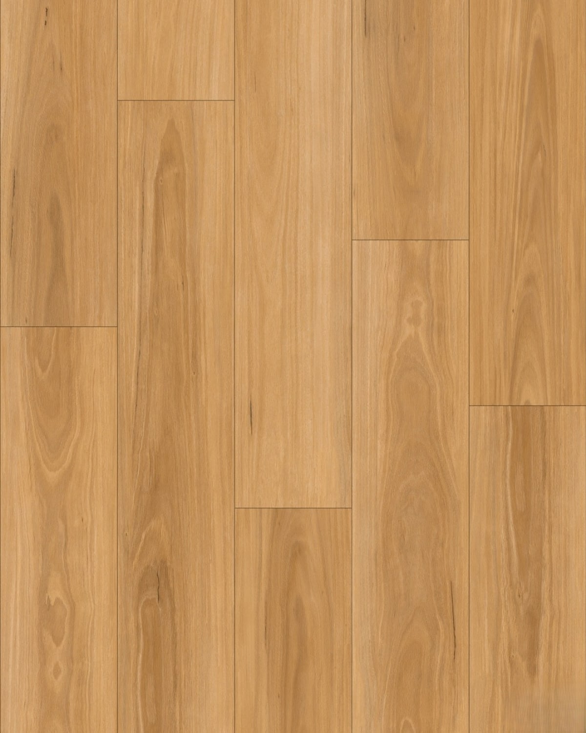 Blackbutt 1010 flooring colour sample