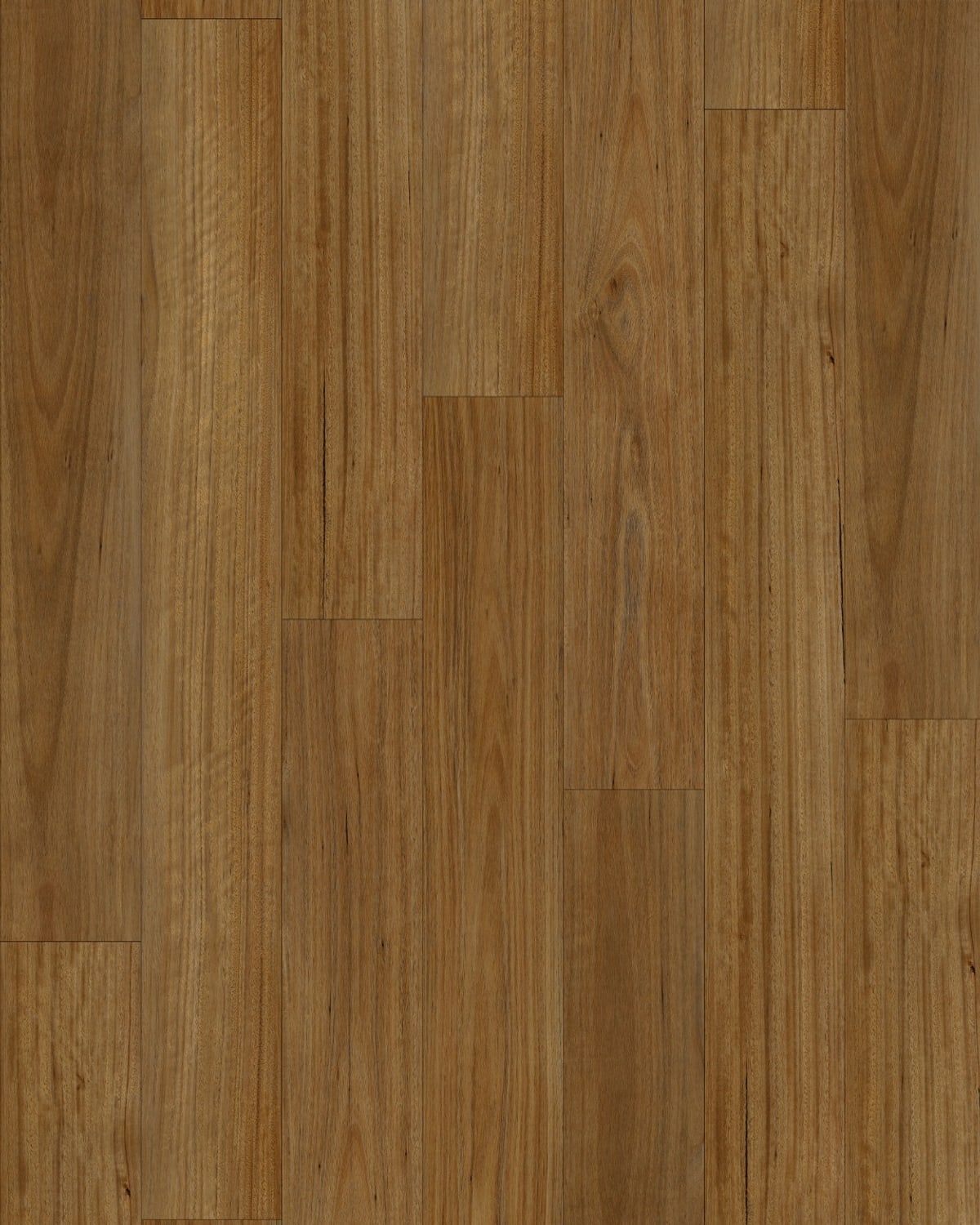 Spotted Gum 1008 flooring colour sample