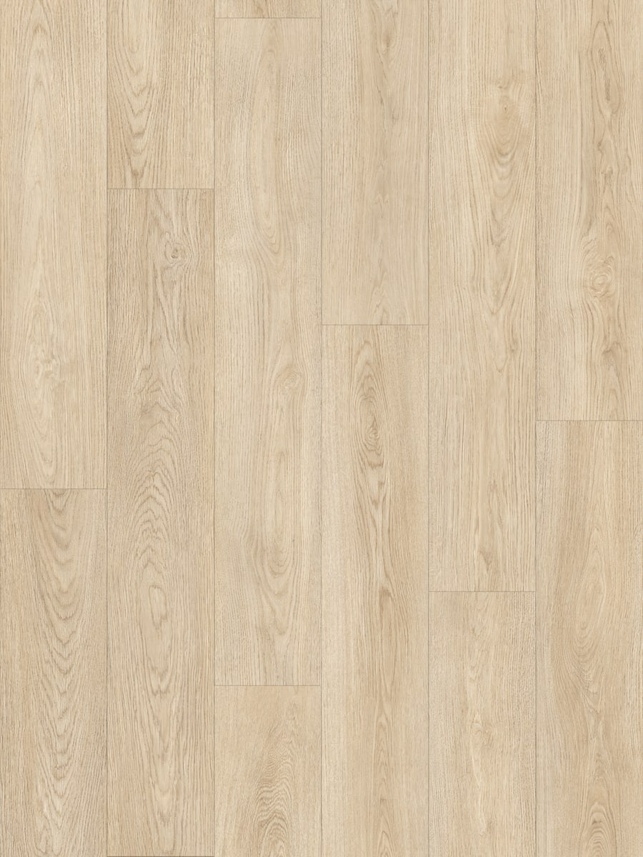 Ivory Oak 2004